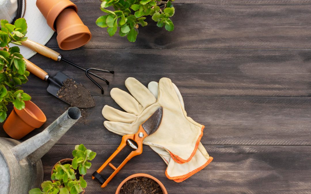 Mantén tus áreas verdes impecables con nuestros servicios de jardinería