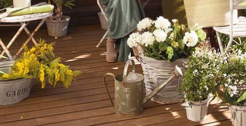 Trucos de jardinería que mantendrán tus plantas esplendorosas.