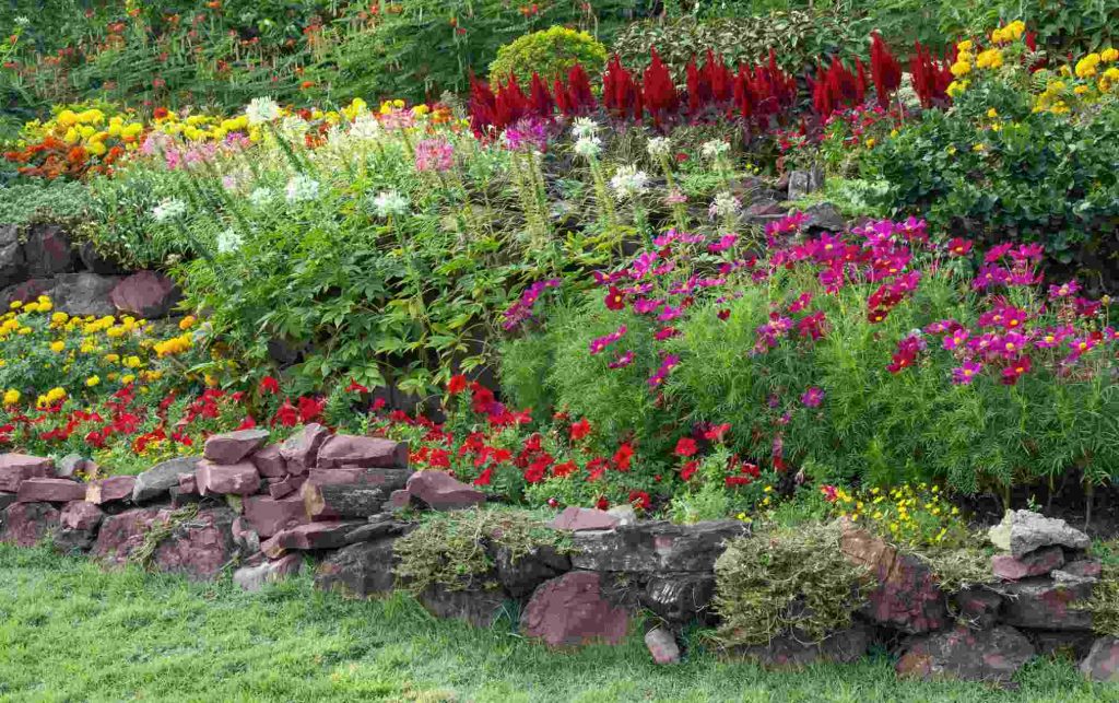 Cómo diseñar un jardín de aromáticas: Consejos y beneficios.