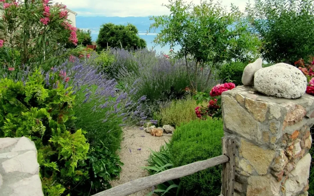 Beneficios de Tener un Jardín en Casa.
