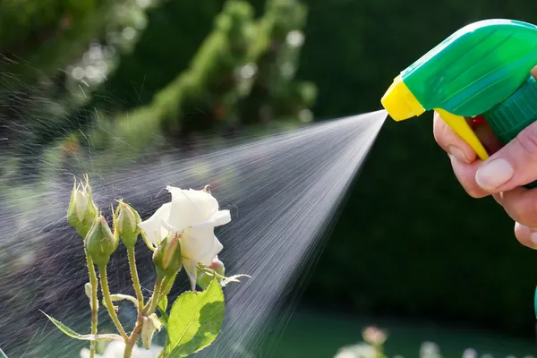 Control de Plagas y Enfermedades en el Jardín.