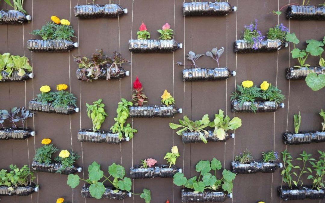 🌿 Jardines verticales: Soluciones verdes para espacios reducidos