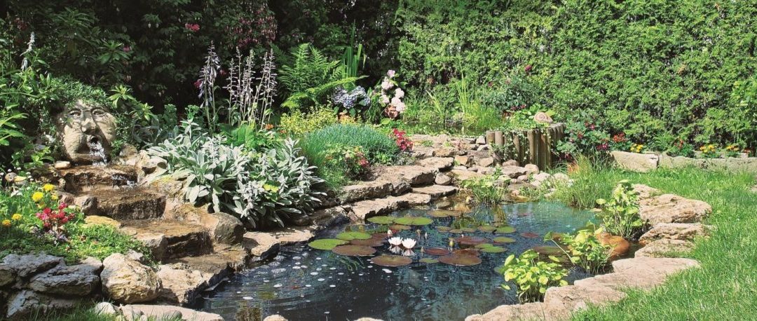 Diseño de exteriores: De un simple patio a un oasis de bienestar para los vecinos